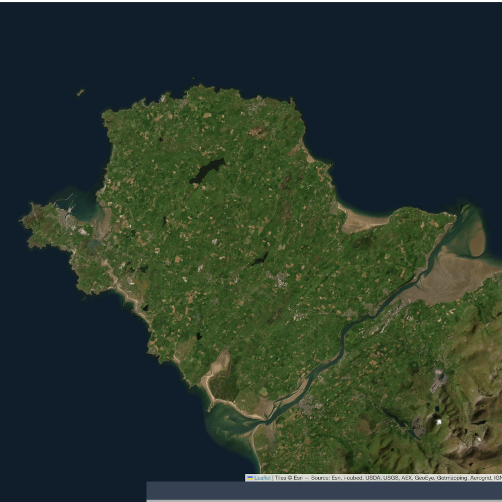 
        
        The Satellite basemap
        
        