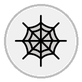 spider web
