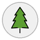 evergreen tree