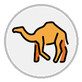 camel
