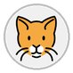 cat face