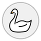 swan