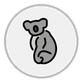 koala