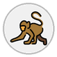 monkey