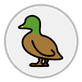 duck