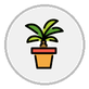 potted plant