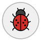 lady beetle