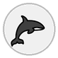 orca