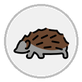 hedgehog