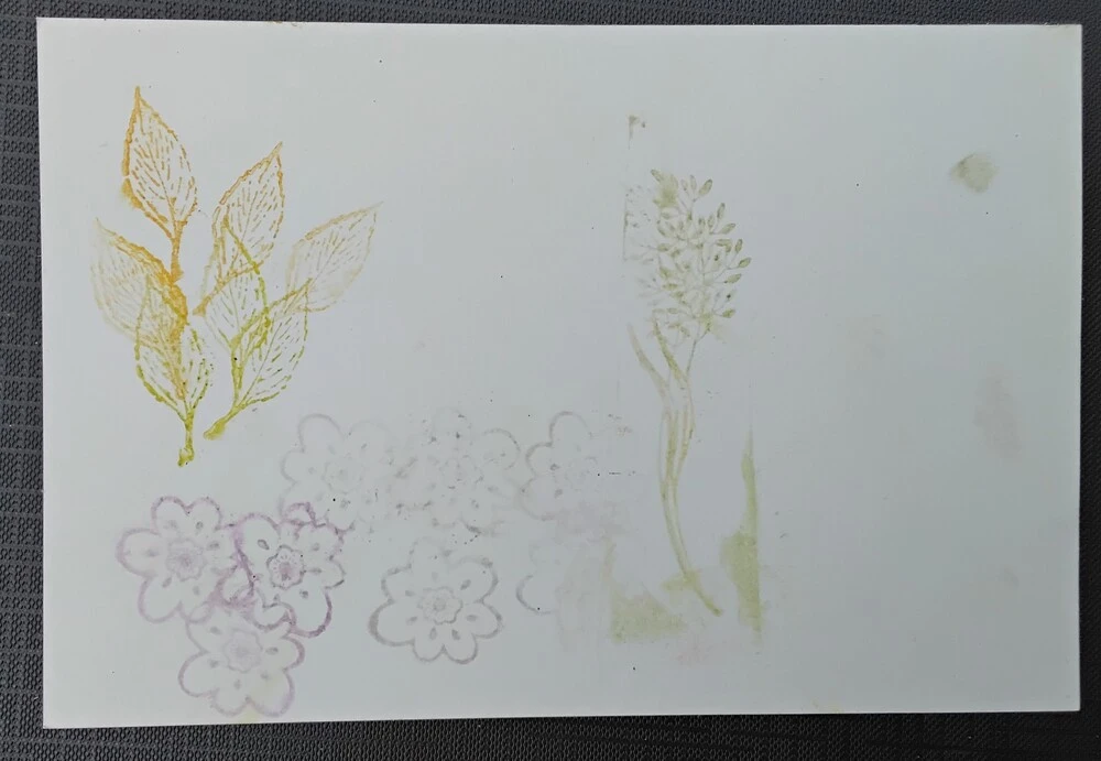 Front of postcard by , age 