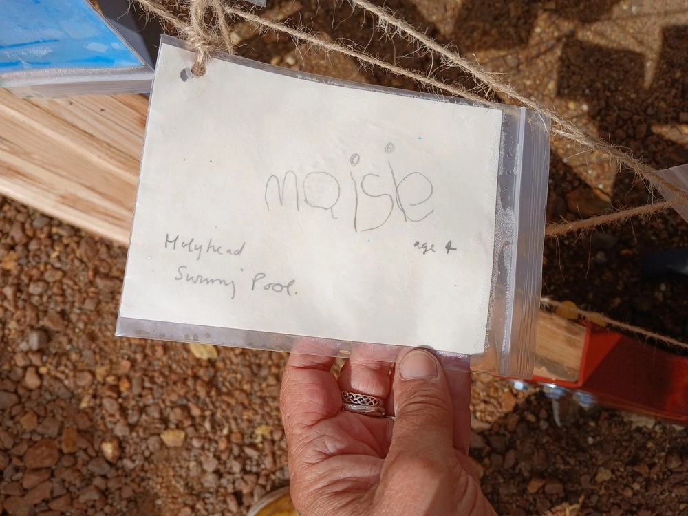 Back of postcard by , age 