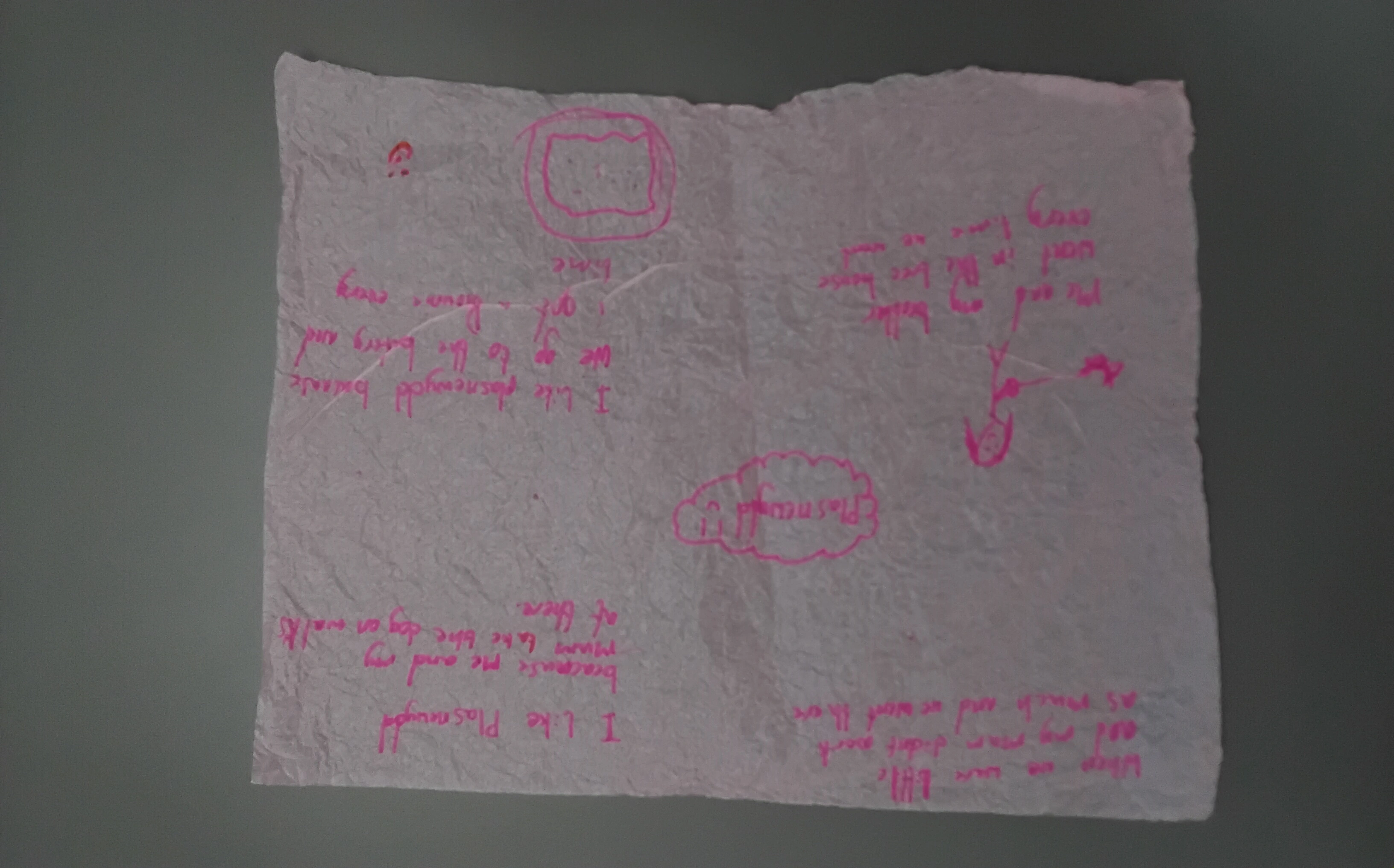 Plas Newydd is my favourite place for my rock